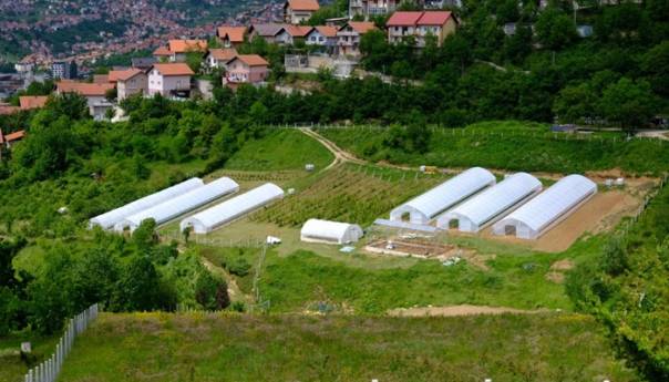 JP "Lokom" udvostručio proizvodnju organske hrane