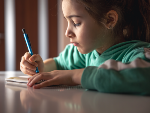 JU Muzej "Alija Izetbegović" objavio dobitnike nagrada za najbolje literarne radove