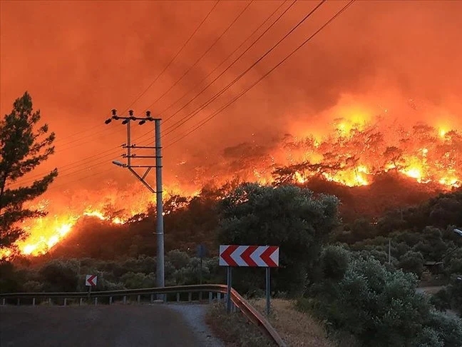 Juli oborio temperaturne rekorde, Evropu pogodili ekstremna vrućina i požari