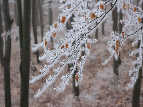 Jutro pod mrazom: U većem dijelu BiH temperature ispod nule