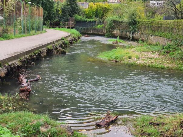 Jutros oblačno s kišom u pojedinim područjima Bosne, tokom dana mogući lokalni pljuskovi