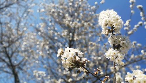 Jutros u Hercegovini i na zapadu Bosne oblačno, u ostatku zemlje pretežno vedro