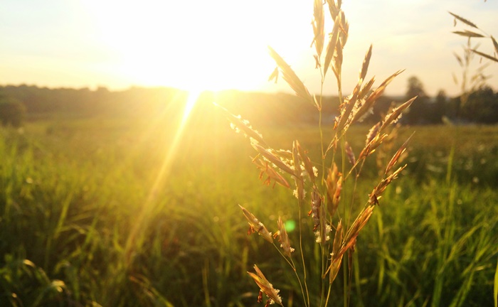 Jutros u većem dijelu BiH sunčano, temperature do 29 stepeni