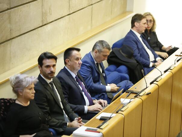 Južna interkonekcija na dnevnom redu, 71 zastupnik za