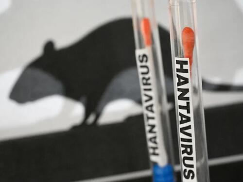 Kako se širi hantavirus od kojeg strahuje svijet?