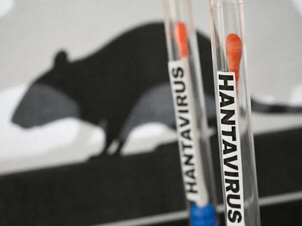 Kako se širi hantavirus od kojeg strahuje svijet?