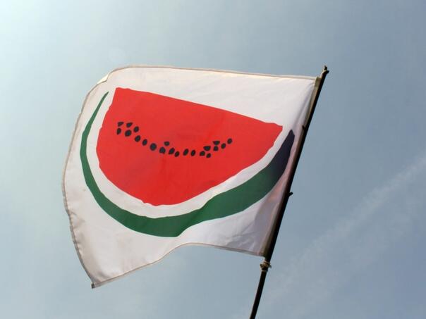 Kako su se slike lubenice, simbol solidarnosti s Palestincima, proširile planetom