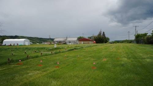 Kanada neće slaviti nacionalni praznik nakon otkrića tijela djece u grobovima