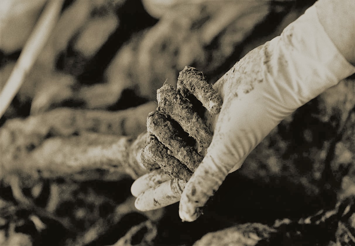 Kanađani u aprilu obilježavaju mjesec sjećanja, osude i prevencije genocida