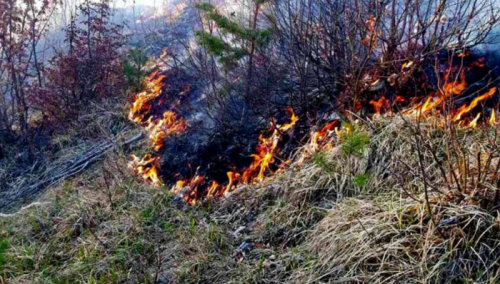 Kantonalna uprava CZ upozorava građane na opasnosti od požara