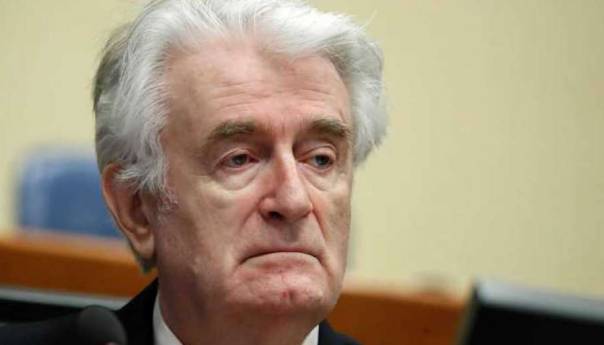 Karadžić pokušava izbjeći služenje doživotne kazne
