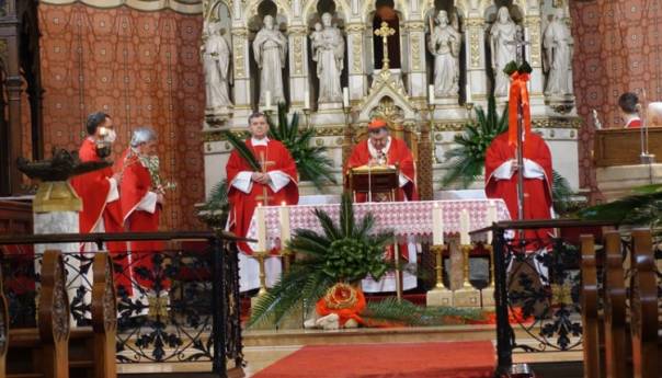 Kardinal Puljić predvodio misno slavlje na Cvjetnicu