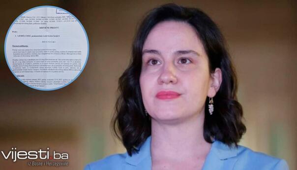 Karić podnijela krivičnu prijavu protiv Ćosića