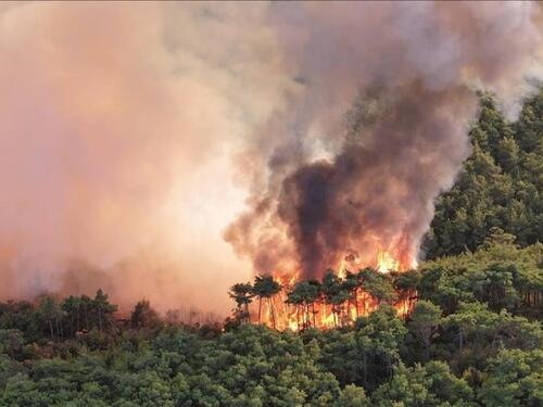 Katastrofalni požar zahvatio Hirkanijske šume u Iranu: Turska šalje avione