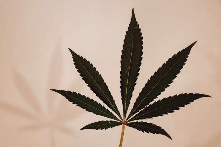Kažnjen jer je nosio majicu na kojoj je naslikana marihuana