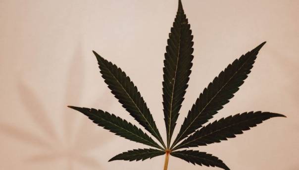 Kažnjen jer je nosio majicu na kojoj je naslikana marihuana