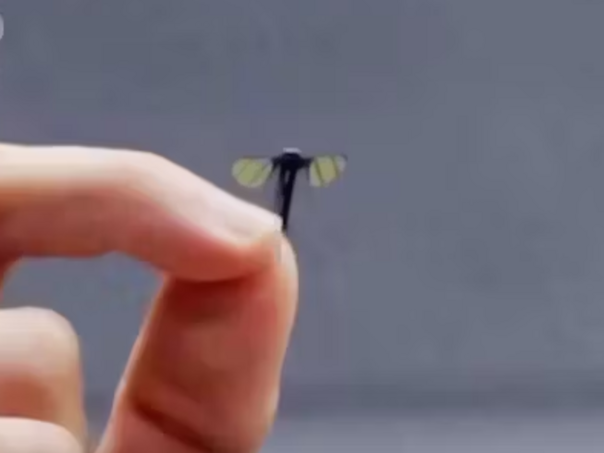 Kina razvila 'komarac-dron' za tajne misije i špijunažu