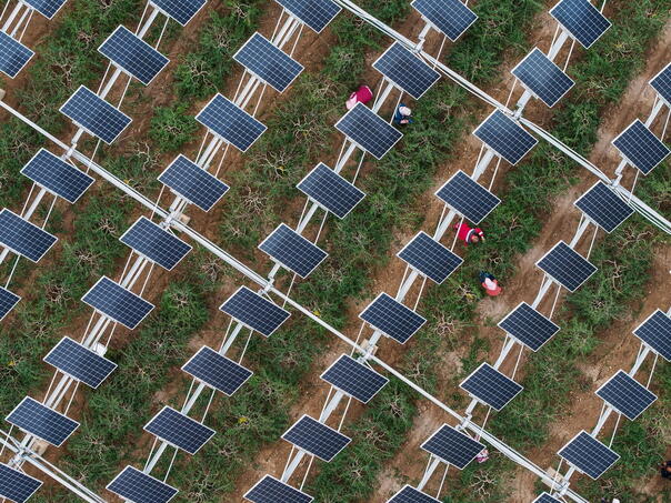 Kina solarnim panelima želi zaustaviti širenje pustinje