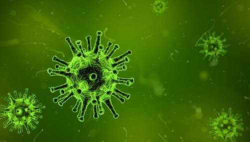 Kineski virus - Koliko bismo trebali biti zabrinuti?