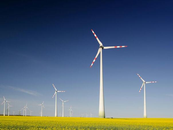 Kinezi izgradili ogromnu vjetroelektranu: Napaja grad od 55.000 kućanstava