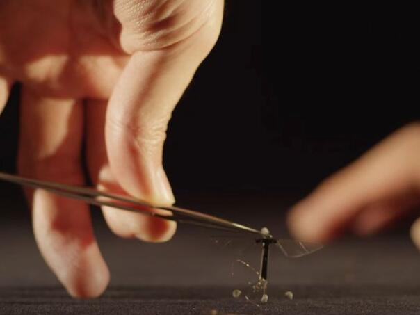 Kinezi napravili vojni dron poput komarca koji je skoro nevidljiv