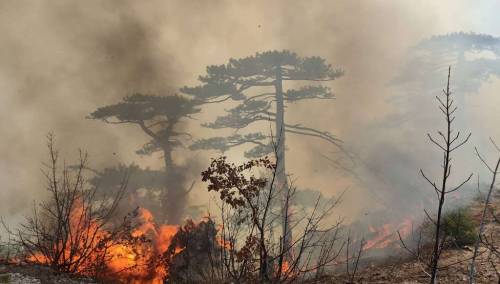 Kiša pogasila požare u HNK