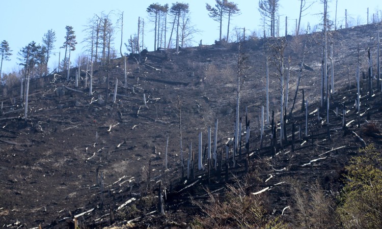 Kiša popravila stanje u Jablanici, i dalje gori u Mostaru i Stocu
