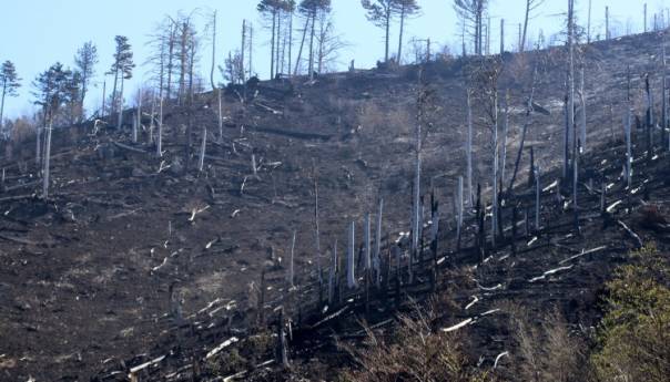 Kiša popravila stanje u Jablanici, i dalje gori u Mostaru i Stocu