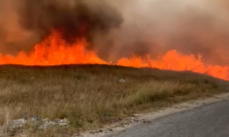 Kiša spasila od katastrofe Roško Polje