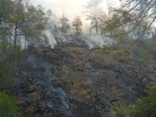 Kiša ugasila dva požara u bilećkim selima