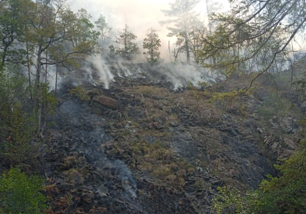 Kiša ugasila dva požara u bilećkim selima