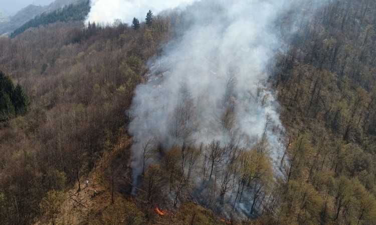 Kiša ugasila požare u HNK