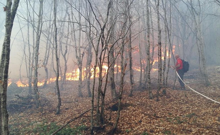Kiša ugasila sve požare na području istočne Hercegovine
