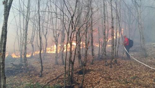 Kiša ugasila sve požare na području istočne Hercegovine