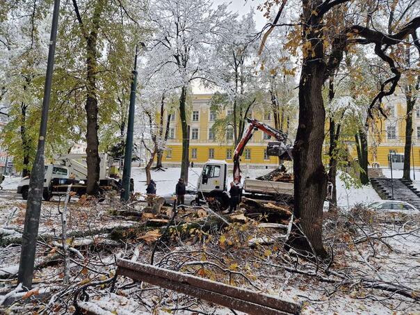 KJKP 'Park': Zbog snijega bilo više od 200 intervencija, sanacija oštećenih krošnji i narednih dana