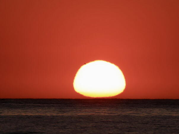 Klimatske promjene donijele najtopliji mart u Evropi