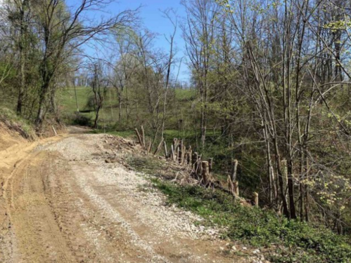Klizište u Gračanici ugrožava jednu kuću