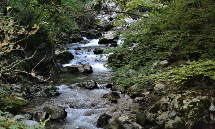 Koalicija za zaštitu rijeka BiH:  Zaustaviti daljnju gradnju malih hidrocentrala