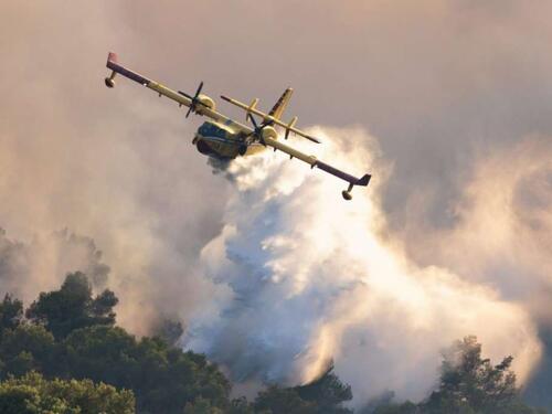 Kod Čapljine izgorjeli vinograd i voćnjak