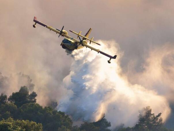 Kod Čapljine izgorjeli vinograd i voćnjak