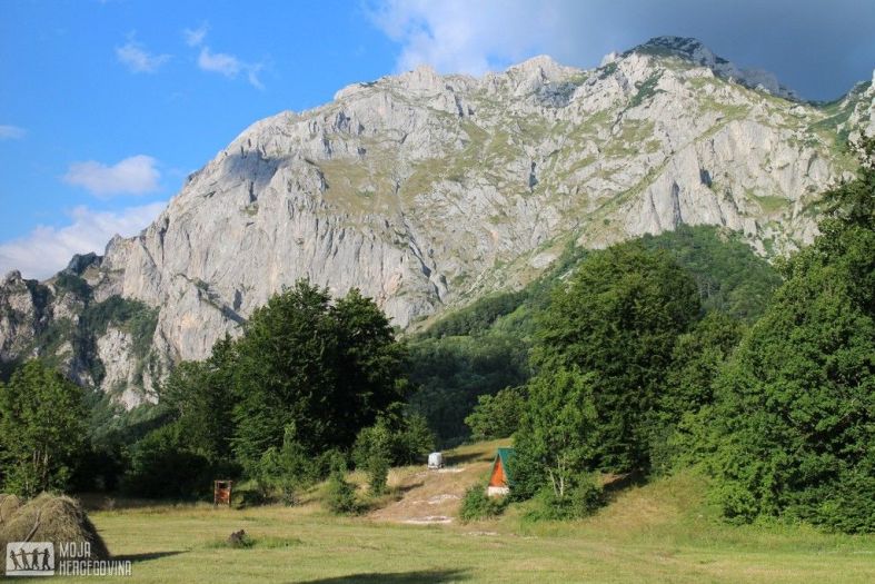 Kod Gacka poginuo radnik dok je izvlačio drva iz šume