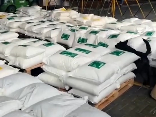 Kolumbija zaplijenila 7,6 tona kokaina: Droga vrijedna više od 200 miliona dolara