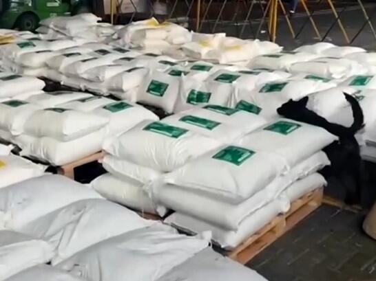 Kolumbija zaplijenila 7,6 tona kokaina: Droga vrijedna više od 200 miliona dolara