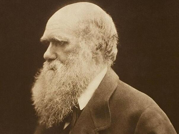 Kompletna Darwinova biblioteka će prvi put biti objavljena online
