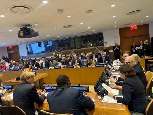 Konaković na ministarskom sastanku Grupe prijatelja medijacije UN-a