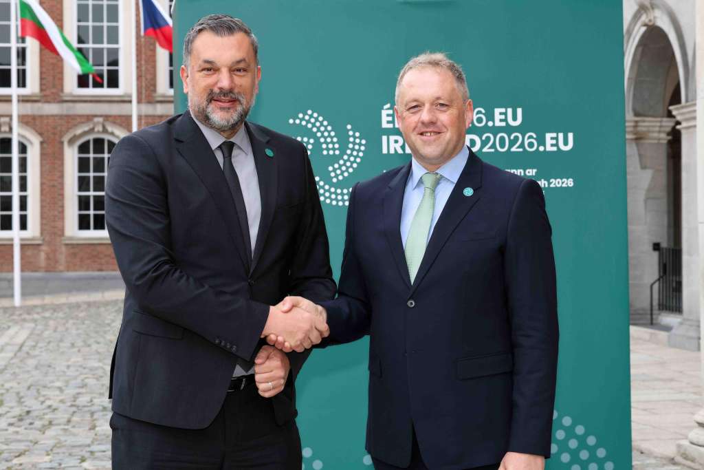 Konaković u Dublinu: Zločinca Mladića pretvaraju u politički kapital