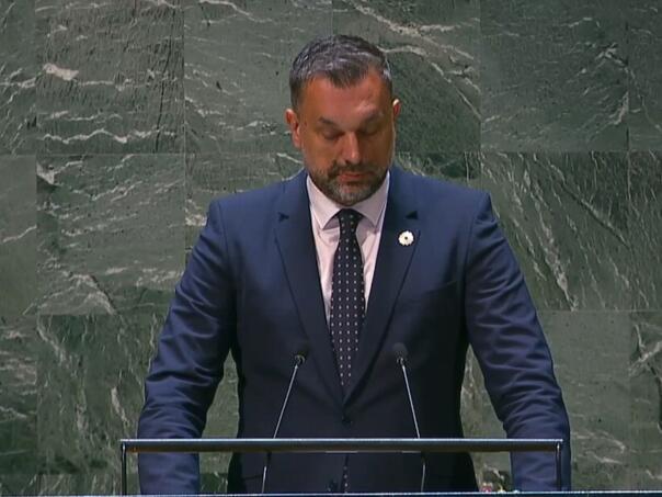 Konaković u UN-u o genocidu u Srebrenici: Nikada više