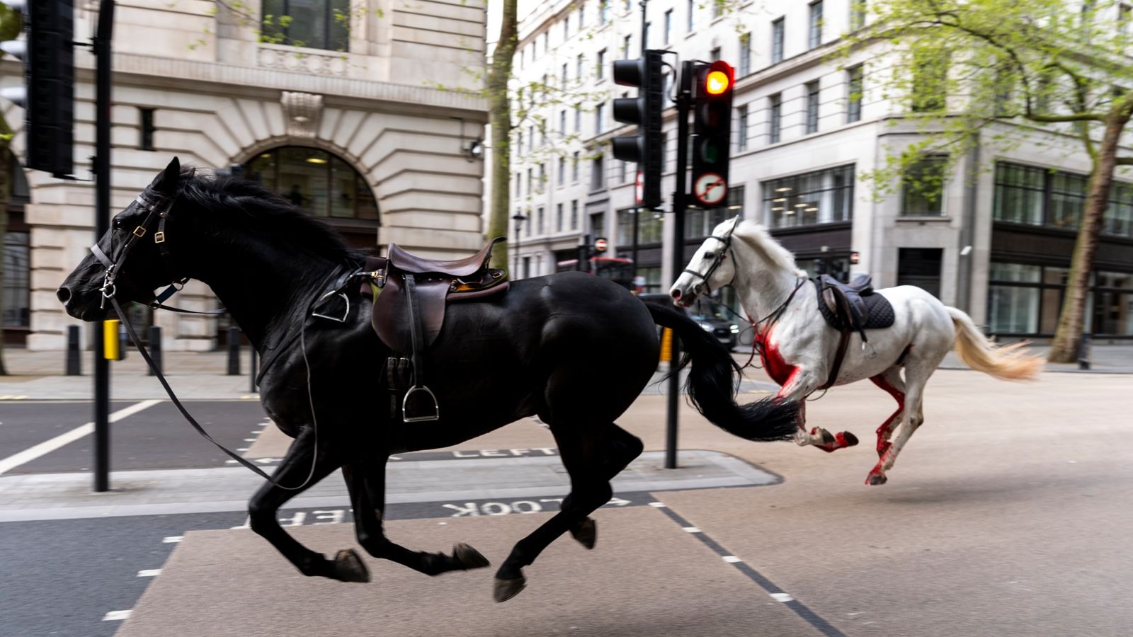 Konji pobjegli sa vježbe, projurili centrom Londona
