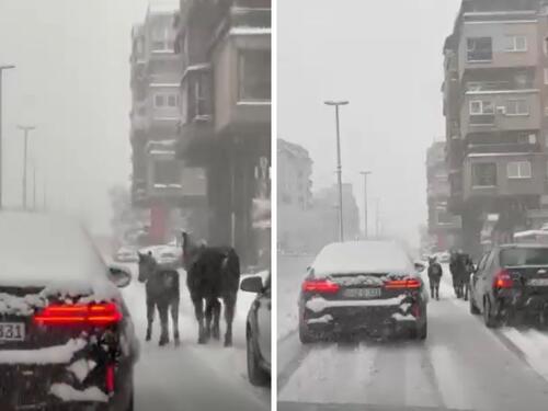 Konji slobodno šetaju gradom u Travniku dok snijeg blokira puteve
