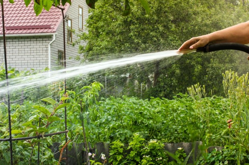 Konjic na udaru suše: Zabranjeno zalijevanje bašti